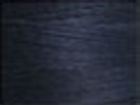 Navy 5981 Cotton 8/2