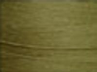 Olive 1244 Cotton 8/2