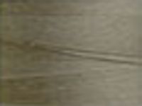 Stone 8115 Cotton 8/2